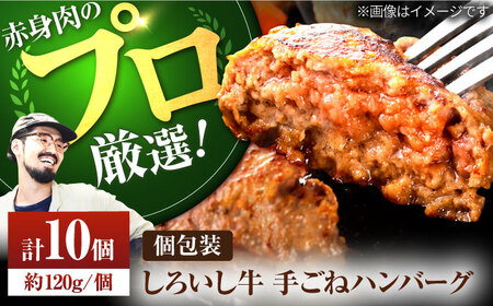 定番の美味しさ 手ごねハンバーグ10個 / ハンバーグ ハンバーグ ハンバーグ ハンバーグ [IAH044]