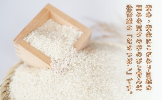 【令和7年産新米】<10月上旬よりお届け>あのさんちの美味しいお米 ななつぼし 精米5kg SBTL018