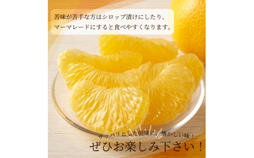 紀州和歌山産 八朔（はっさく） 約10kg ※2027年1月下旬頃～2027年2月上旬頃に順次発送予定 ※日付指定不可 八朔 はっさく 柑橘 果物 くだもの フルーツ【uot785A】