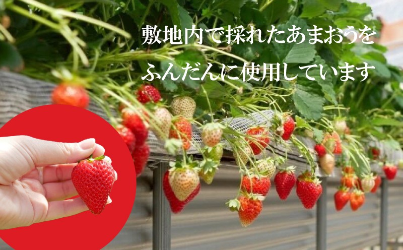 ハーブオイル