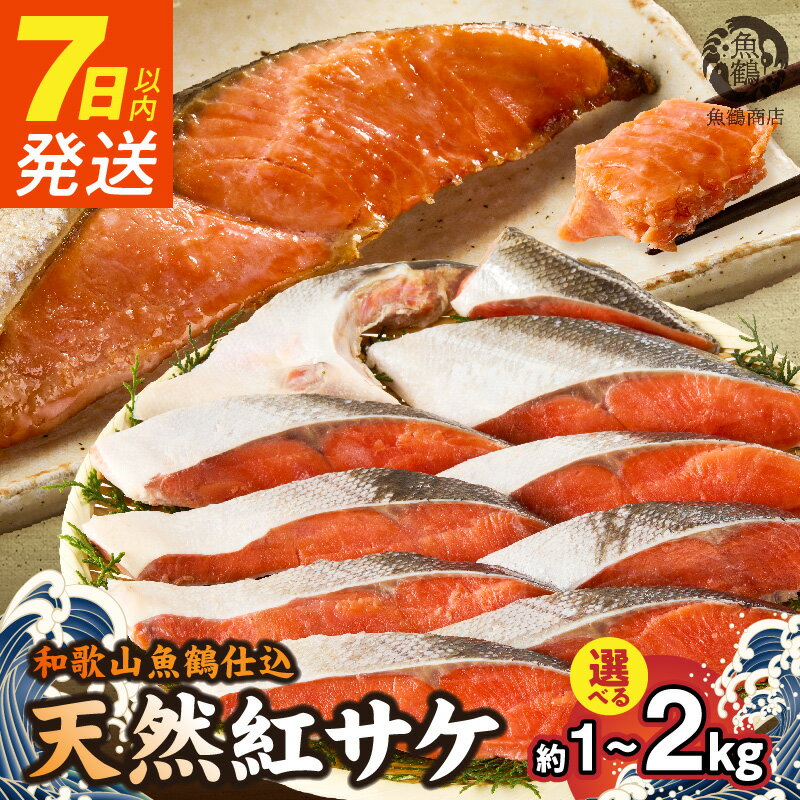 【ふるさと納税】7日以内発送 リピーター続出！ 高評価 紅鮭 切身 選べる 内容量 約 1kg ～ 2kg 発送時期 梅酒 真昆布 使用 だし 天然 鮭 柔らかい身 コク 甘味 魚 海の幸 海鮮 魚介 食品 食べ物 焼き魚 おかず お弁当 水産加工品 冷凍 お取り寄せ グルメ 和歌山県 湯浅町