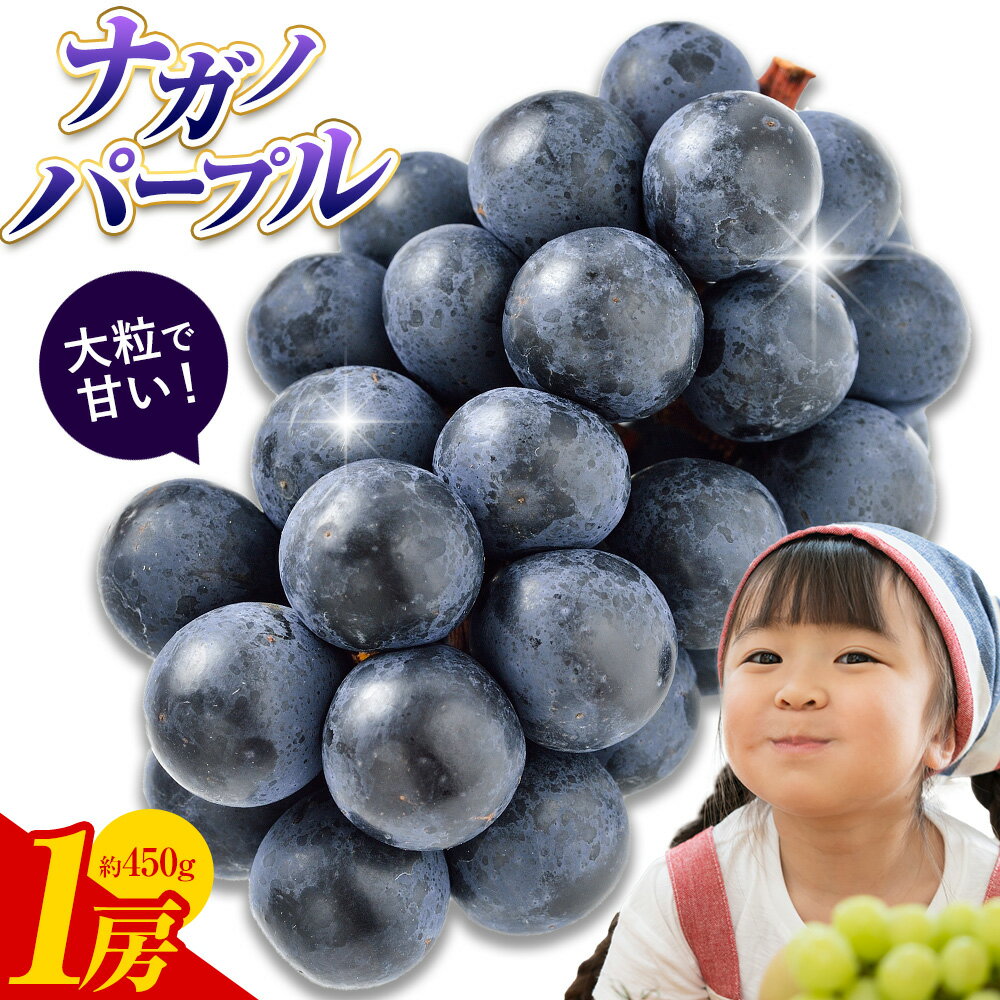 【ふるさと納税】ぶどう ナガノパープル 1房 450g 株式会社ヤマナカ《8月中旬-9月下旬頃出荷》茨城県 結城市 アッシーリス 種なしぶどう たねなし 皮ごと食べられる フルーツ 旬 果物 冷蔵便 送料無料 ブラックシャインマスカット
