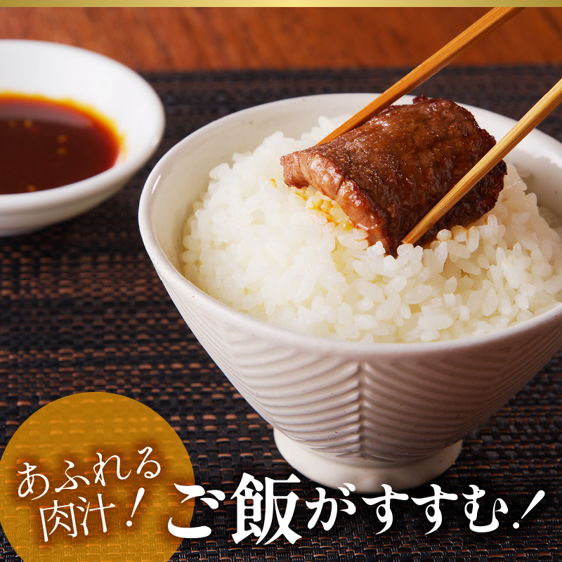 延岡育ちの宮崎牛おまかせ焼肉セット N023-YZA304_イメージ4