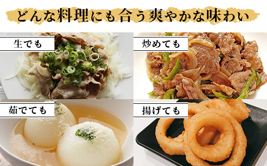 【先行予約】熊本県産 玉ねぎ 10kg (33玉前後) ≪2025年4月下旬から順次発送≫ 玉葱 野菜 数量限定 JAS たまねぎ オニオン 甘い ハンバーグ 肉じゃが 065-0637 大森 重臣