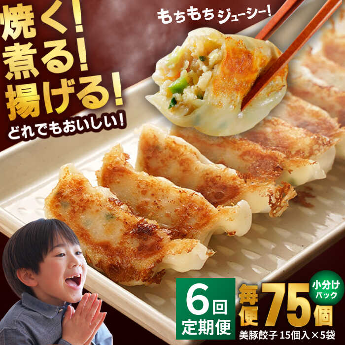 【ふるさと納税】【全6回定期便】 美豚餃子 15個入×5袋セット おつまみ おかず 簡単五島市/長崎フードサービス [PEL009] 冷凍 餃子 飲茶 中華 ぎょうざ ギョウザ