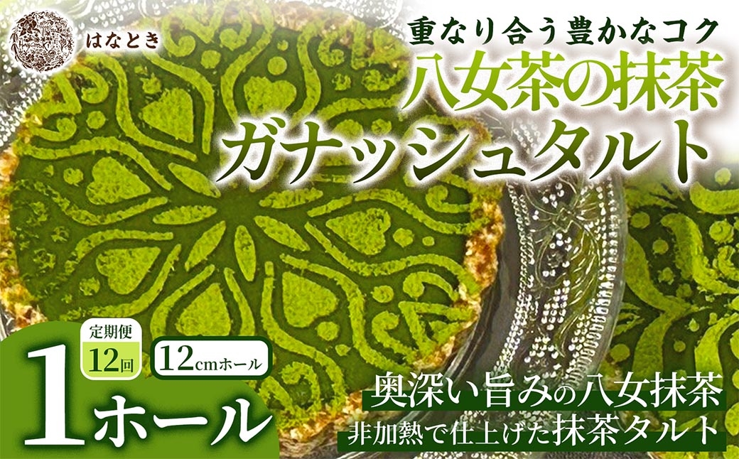 
                  [ 定期1ヶ月毎12回 ] 【 重なり合う豊かなコク 】 八女茶の抹茶ガナッシュタルト 1ホール タルト お菓子 洋菓子 抹茶 八女茶 スイーツ ガナッシュ 定期便 定期配送 冷凍
                