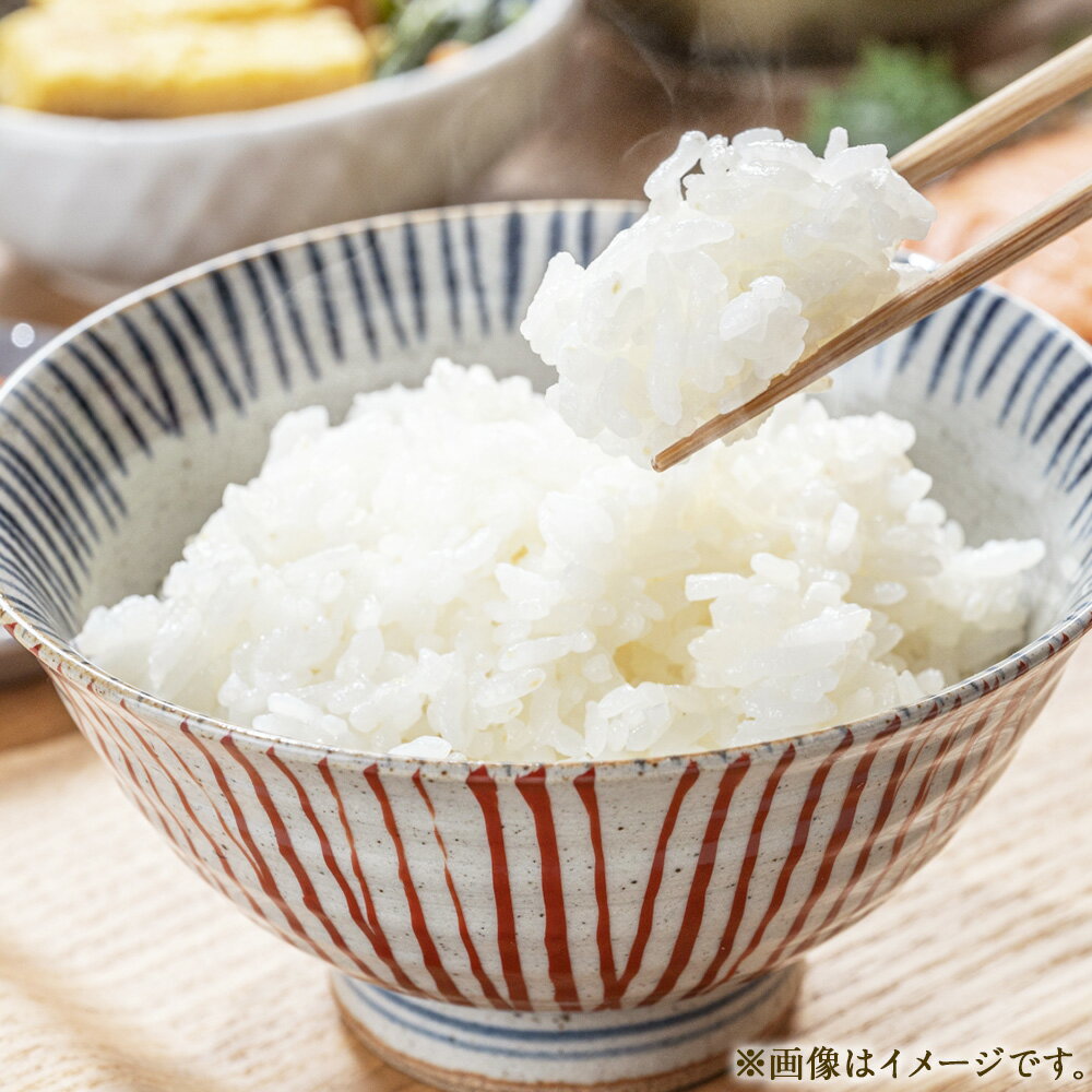【ふるさと納税】令和7年産 里海米（キヌムスメ） 10kg お米 米 白米 精米 単一原料米 ごはん ご飯 岡山県産 国産 岡山県 美咲町 送料無料 【2025年10月上旬から2026年9月下旬発送予定】