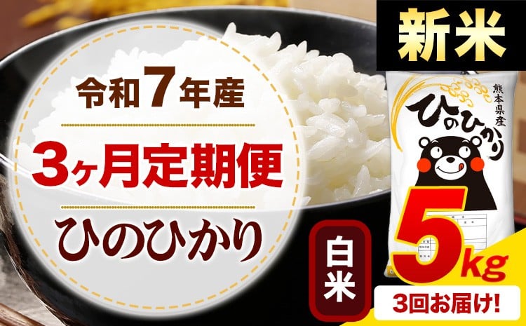 
            【3ヶ月定期便】新米 令和7年産 白米 ひのひかり 定期便 5kg《お申込み月の翌月から出荷開始》令和6年産 熊本県産 ふるさと納税 精米 ひの 米 こめ ふるさとのうぜい ヒノヒカリ コメ お米
          