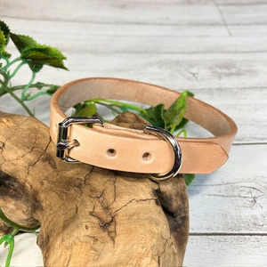 経年変化を楽しめる本革ベンズの犬・猫用首輪 (15mm幅) 小型/中型/大型 犬用首輪 猫用首輪 首輪 犬 猫 本革 SSサイズ