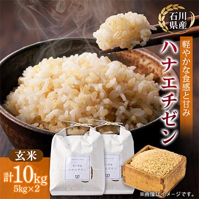 ふるさと納税 野々市市 【さっぱりとした食感と甘み】石川県野々市市産ハナエチゼン 令和7年産玄米10kg(5kg×2袋)