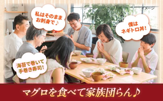 【全6回定期便】【訳あり】天然 本まぐろ 中トロ（約450〜500g（2柵入り））【本まぐろ直売所】 [AKAK088]