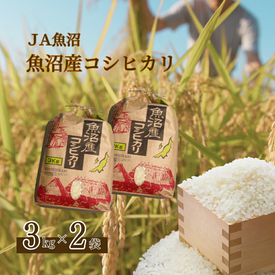 【ふるさと納税】令和7年産 魚沼産コシヒカリ 3kg×2袋 クラフト袋 JA魚沼 【0002-JA01-01】