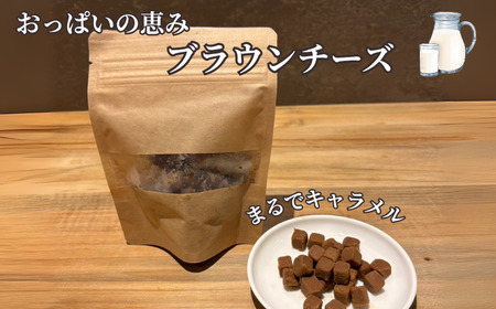 チーズ セット 4種 幻のブラウンチーズ入 チーズ チーズ チーズ