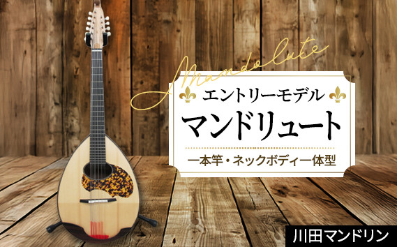 
【エントリーモデル】マンドリュート [No.295] ／ 楽器 岐阜県 特産品
