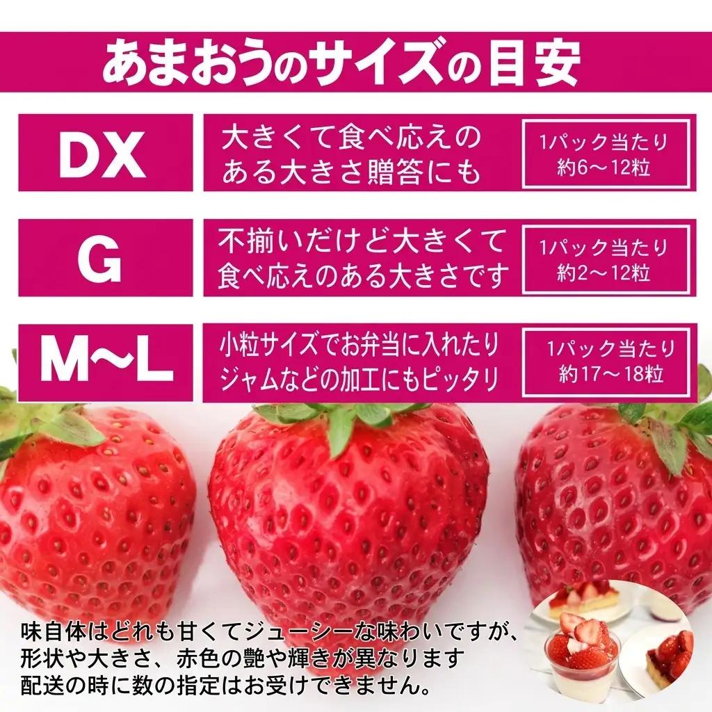 あまおう G以上 約1.04kg 約260g×4パック あまおう 果物 苺