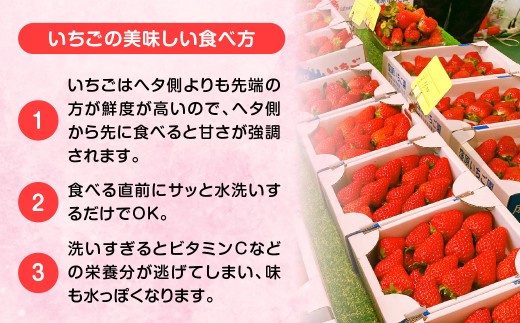 【先行予約・2027年1月～発送】農家直送！窪原さんちのこだわり極上、完熟いちご　（とちおとめ、紅ほっぺ、やよいひめのいずれかを約１㎏）／ふるさと納税 いちご 苺 イチゴ とちおとめ 紅ほっぺ やよい