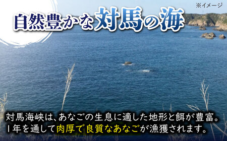 【全12回定期便】対馬 煮あなご膳 セット アナゴ  [WAC038]あなご 穴子重 穴子 煮穴子
