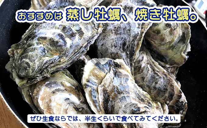 北海道 サロマ湖産 殻付き かき 生食用 2.5kg 牡蠣 カキ 海鮮 国産 貝付き 焼き牡蠣 蒸し牡蠣 冷蔵 オホーツク 魚貝類 生牡蠣 殻付きかき 北海道産 産地直送