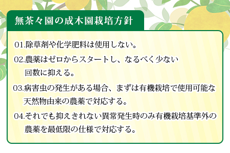 先行予約 ＜無茶々園の甘夏 約3kg＞ 果物 あまなつ みかん ミカン 蜜柑 柑橘 フルーツ 期間限定 季節限定 食べて応援 特産品 愛媛県 西予市 【常温】『2025年3月上旬～5月上旬迄に順次出荷