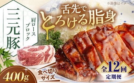 【全12回定期便】平田牧場 肩ロース ブロック 400g  豚肉 ローストポーク 煮豚 [AJAP163]