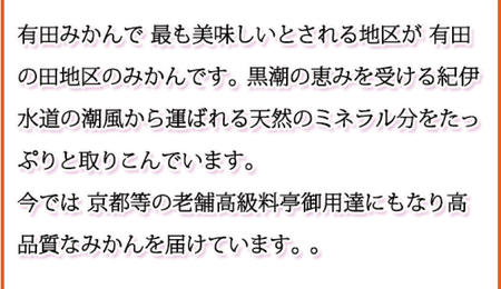 みかん 蜜柑 フルーツ 果物 くだもの / 【ご家庭用訳あり】田村みかん　5kg ※2024年11月下旬頃〜2025年1月下旬頃に順次発送【uot754】