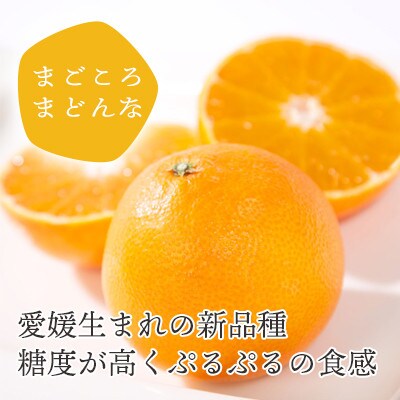愛媛限定栽培柑橘 まどんな寒天ゼリー12本セット【D25−16】【1255523】