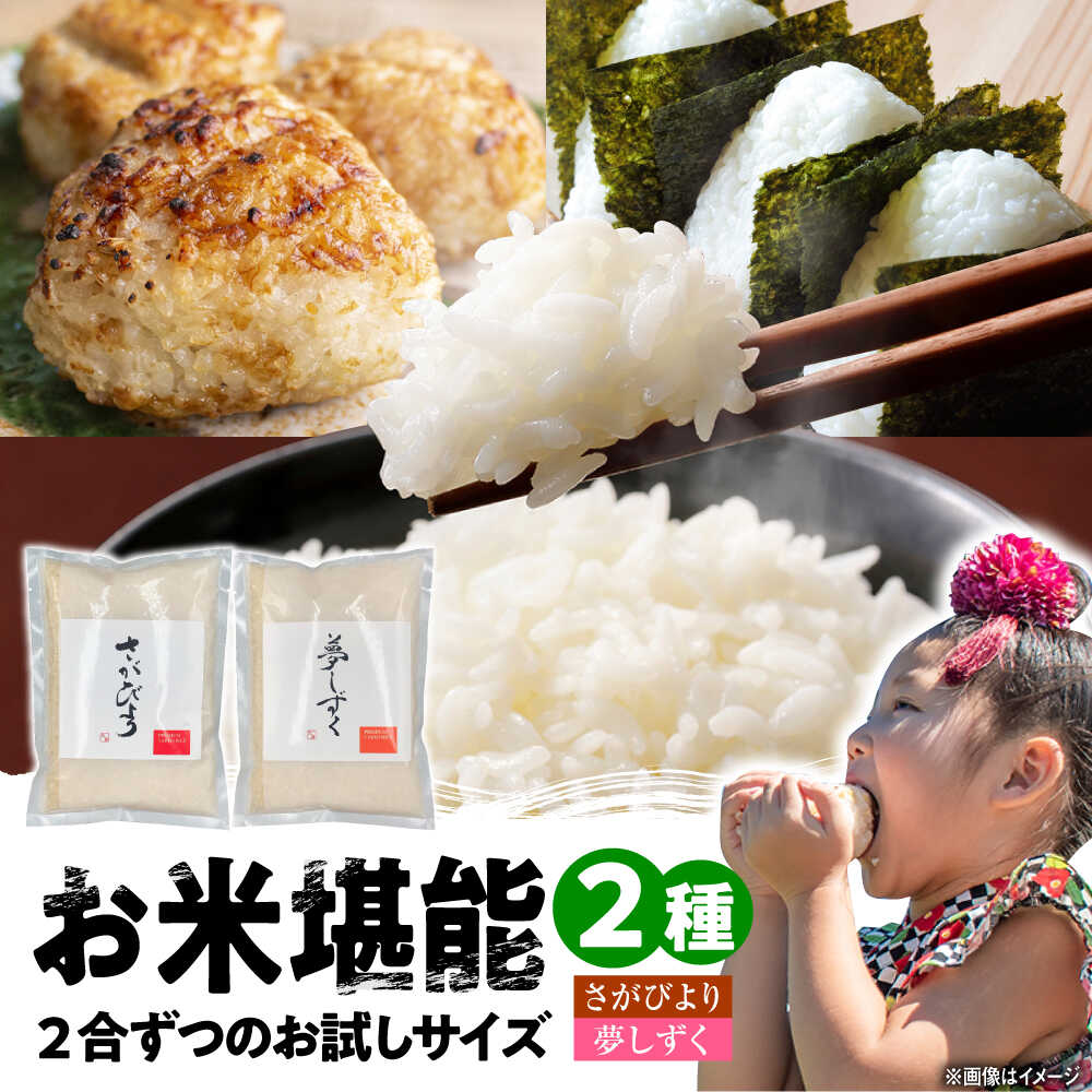 【ふるさと納税】特A評価獲得 武雄産米 2種お試し食べ比べセット さがびより・夢しずく 2合(300g)×2袋 白米 /株式会社 y’s company（utsu和ya）[UDX022] 米 お米 白米 ブランド米