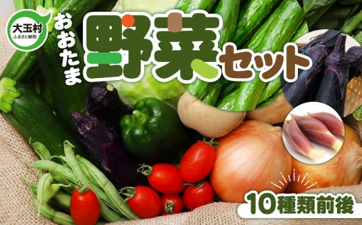 野菜セット  野菜詰め合わせ （10種類前後） お試し 旬の野菜  SDGs 大玉村産 【01104】 福島県 野菜 旬 詰合せ 詰め合わせ おためし セット 5000円 大玉村 キャンプ バーベキュー アウトドア BBQ