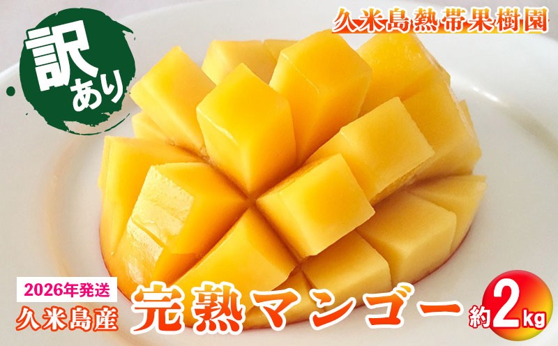 
            訳あり品【2026年発送】久米島熱帯果樹園 完熟マンゴー約2kg（3～6玉） アーウィン アップルマンゴー トロピカル フルーツ 訳あり 果物 南国 沖縄 久米島 ふるさと納税 農園直送 甘い ジューシー 濃厚 完熟 糖度が高い とろける ジュース スムージー B品
          