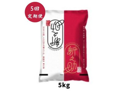 【令和7年産】【5回定期便】阿賀野市産「新之助」5kg（5kg×1袋） 安田興和農事 白米 精米 1W11076