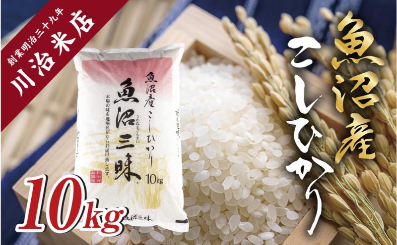 令和6年産 魚沼産 コシヒカリ 10kg 米 こしひかり お米 コメ 新潟 魚沼 魚沼産 白米 送料無料 新潟県産 精米 産直 産地直送 契約農家 お取り寄せ 魚沼三昧 川治米店 新潟県 十日町市 もちもち 甘み 