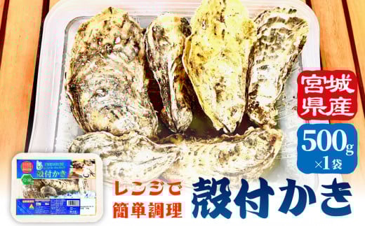 レンジで簡単調理 殻付きかき 500g 1P 冷凍 宮城県産 殻付き 簡単調理 BBQ 牡蠣 カキ 加熱用 蒸し牡蠣 焼き牡蠣 三陸 海鮮 魚介 海鮮物 BBQ バーベキュー キャンプ お取り寄せ レンチン 時短調理 宮城県 石巻市
