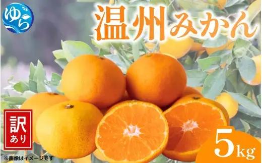 （訳あり）温州みかん 5kg / みかん ミカン 和歌山県 柑橘  甘い 蜜柑 フルーツ 果物 くだもの 食品  産地直送 由良町 ご家庭用 温州 温州ミカン ※2026年12月上旬～12月中旬頃に順次発送予定【kwgc004-c-5-dec】