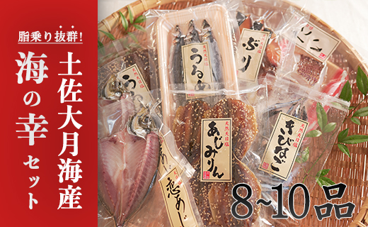 土佐大月海産　海の幸セット　8～10品