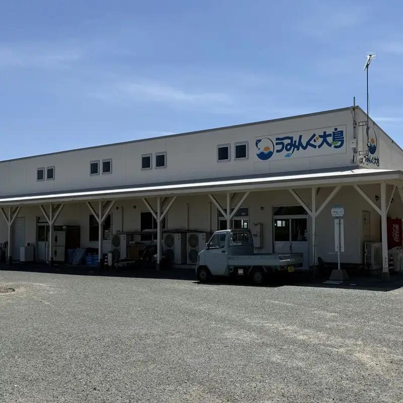 海洋体験施設うみんぐ大島 磯観察1名様分【(㈱)むなかた大島】_HA2026 体験 チケット 福岡県宗像市 宗像市 福岡 宗像