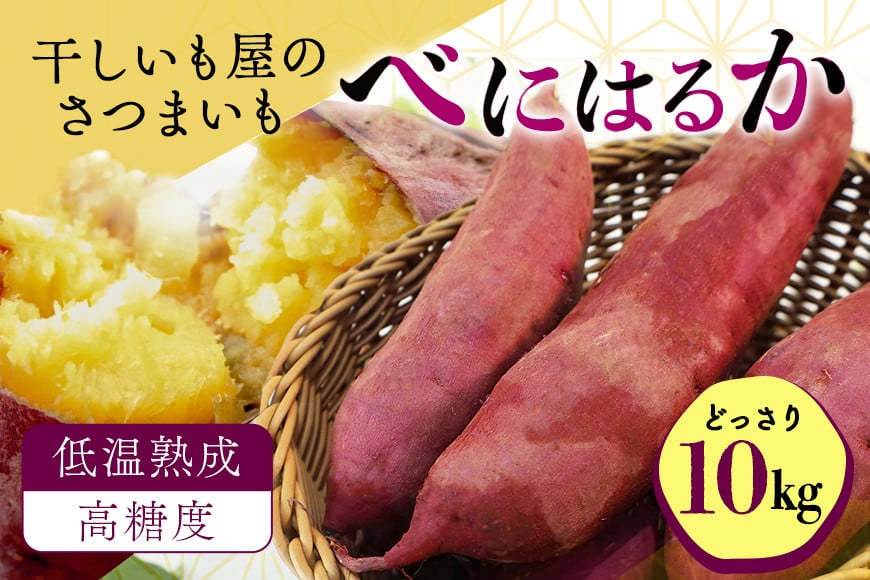 
            干し芋屋のさつまいも（紅はるか） 10kg サツマイモ さつま芋 生芋 べにはるか ベニハルカ 国産 茨城県産 箱 直送 やきいも 焼いも 焼き芋 焼芋 おやつ スイーツ作り ケーキ作り スイートポテト 大学芋 大学いも 10キロ 12-S
          