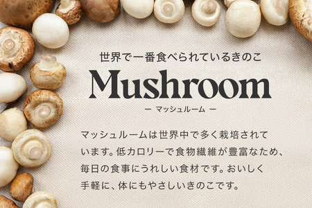 島人マッシュルームセット（ジャンボ×1ホワイト・ブラウン各100gセット） マッシュルーム きのこ詰合せセット ホワイトマッシュルーム ブラウンマッシュルーム 栄養豊富 低カロリー 糸満市 沖縄県