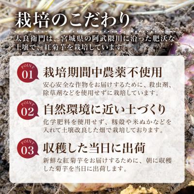 ふるさと納税 宮城県 【宮城県産】紅菊芋5kgセット(1kg×5袋) 生きくいも 西根の森|太良衛門 |  | 03