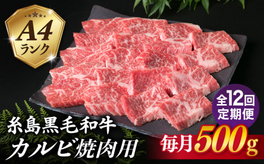 
【全12回定期便】【焼肉用】A4ランク 糸島 黒毛和牛 カルビ 500g 糸島市 / 糸島ミートデリ工房 [ACA295]
