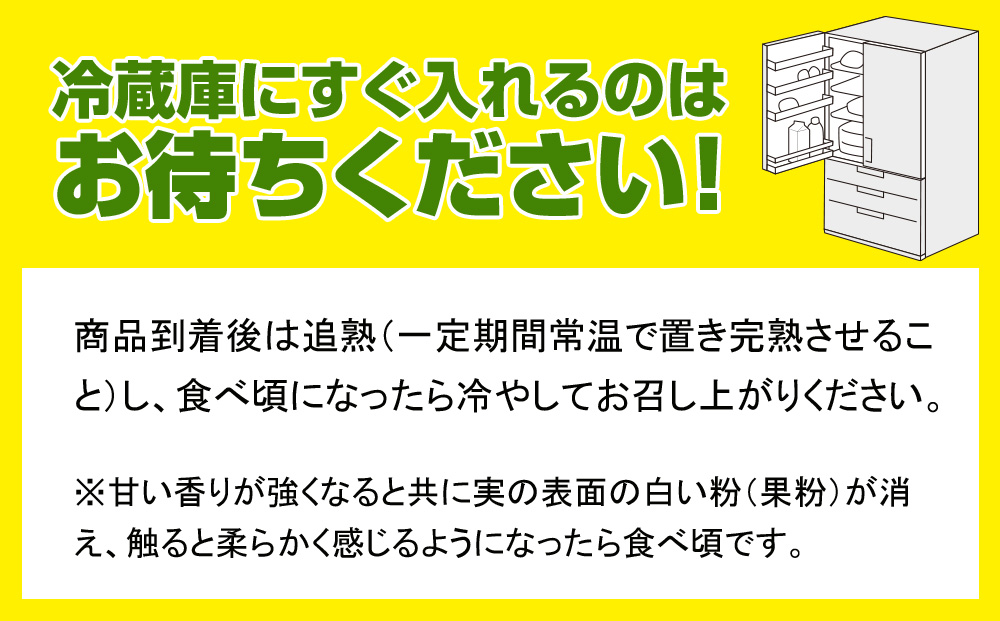 【2024年発送】南風原農園　丹精込めた「キーツマンゴー」2kg