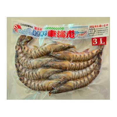 ふるさと納税 中種子町 活き〆冷凍車海老 ソフトシェル3L 300g×1パック(5〜9尾入り)