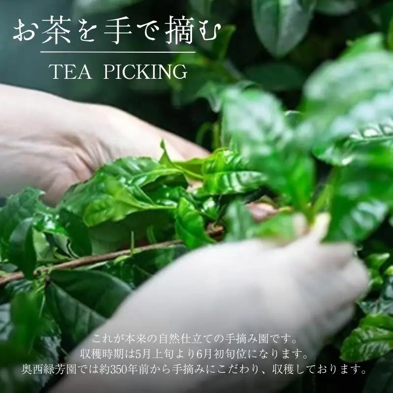 抹茶 碾茶 寿の昔 瑞雲 2缶 抹茶