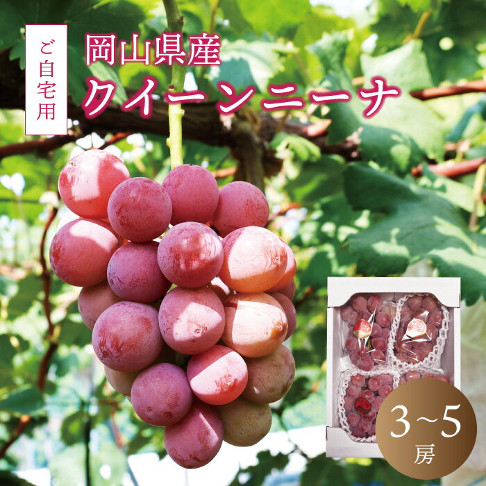 【ふるさと納税】真庭市産 クイーンニーナ 2kg前後 / 【2025年9月中旬以降発送予定】 数量限定 ぶどう ご自宅用 岡山 真庭 葡萄 ブドウ 果物 フルーツ ギフト 産地直送 新鮮 人気 甘い 濃厚 赤ぶどう 【配送不可地域：北海道・沖縄県・離島】【queennina02】