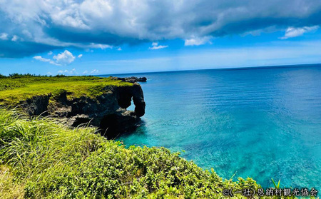【返礼品なし】沖縄県恩納村ふるさと応援寄附金 50000円