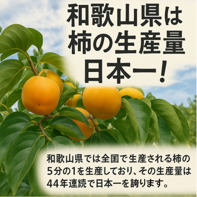 柳フルーツ園の干し柿セット 約10kg【2025年秋冬配送】
