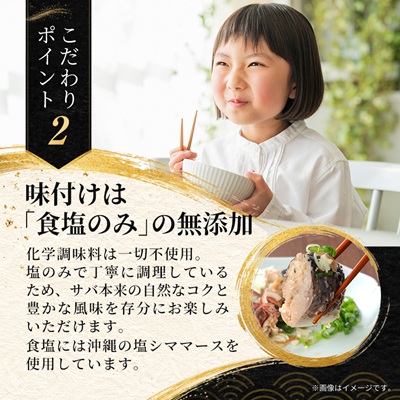 あいこちゃんプレミアム サバ缶水煮　190g×12缶