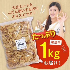 オーガニック大豆１００％使用大豆ミートスライスタイプ１kg 北海道産