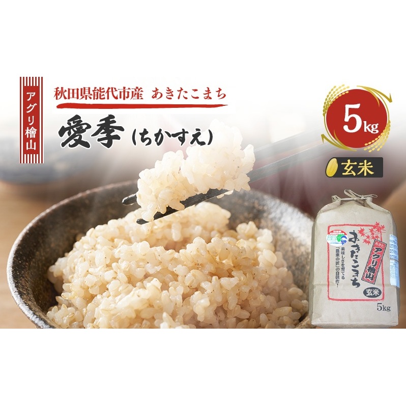 令和7年産 アグリ檜山米 愛季(ちかすえ) 玄米 5kg  あきたこまち  お米 おこめ こめ コメ ごはん ご飯 大粒 令和7年  秋田 秋田県 能代市