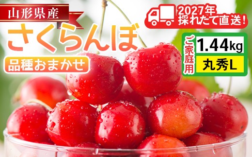 
                  ≪2027年先行予約≫ご家庭用 山形県産 品種おまかせ さくらんぼ(佐藤錦・紅秀峰など) 1.44kg(180g×8パック) 丸秀品 L以上 フードパック詰め 2027年6月中旬から順次発送 果物 くだもの フルーツ サクランボ チェリー 自宅 家庭 産地直送 山形県 西川町 月山 FYN6-633
                