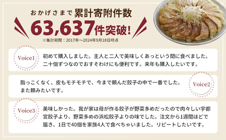 浜松餃子 40個 (20個×2袋) セット 詰め合わせ 餃子のたれ 小袋 知久屋 国産 ぎょうざ 餃子 ギョーザ 冷凍餃子 冷凍ギョーザ 工場直送 ヘルシー あっさり 惣菜 中華 点心 静岡 静岡県 